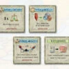 Concordia: 8 Forum Cards & Navegador: Privilege Cards -Entertainment Games Store pic3203982 lg 480x480