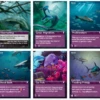 Oceans: The Deep – Promo Pack 2 -Entertainment Games Store pic5079097 1024x1024